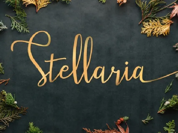 Stellaria Handwritten font