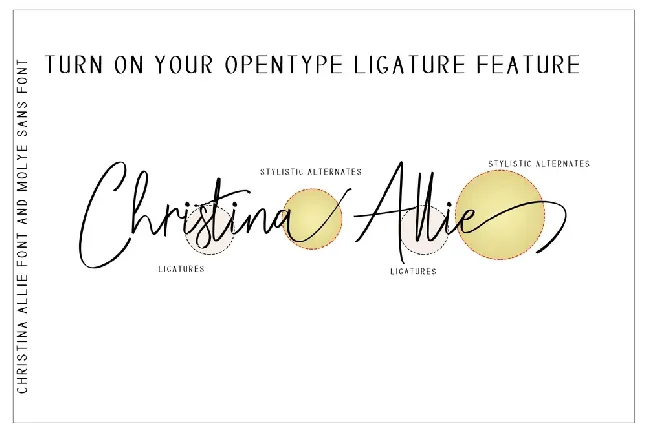 Christina Allie Script font