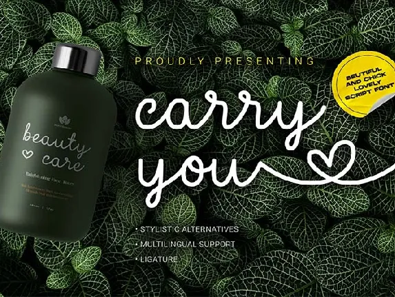 Carry You font