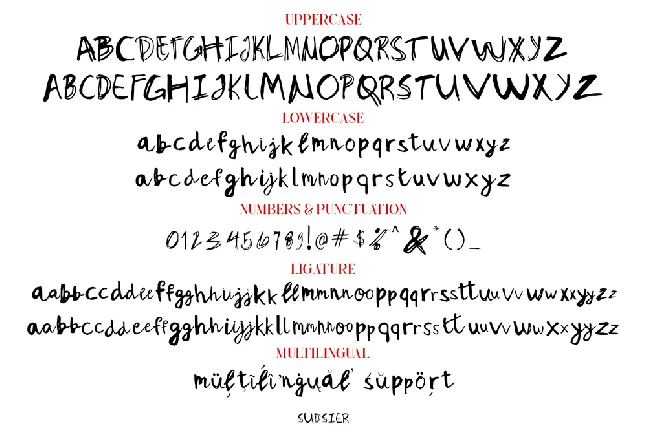 Sudsier Demo font