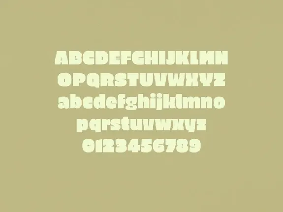 Havana Bold Sans Serif font