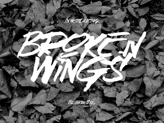 Broken Wings font