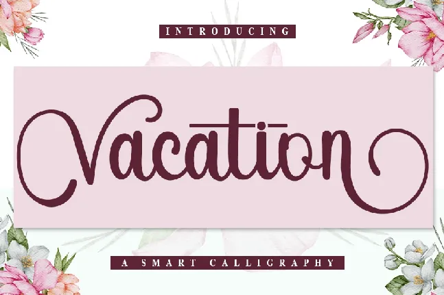 Vacation Typeface font