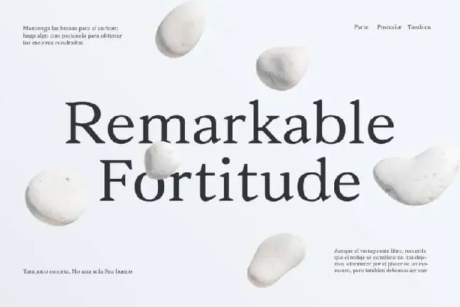 Vanio Trial Serif Family font