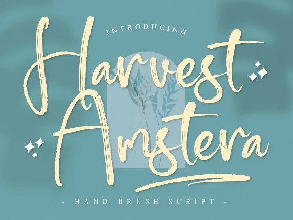 Harvest Amstera font