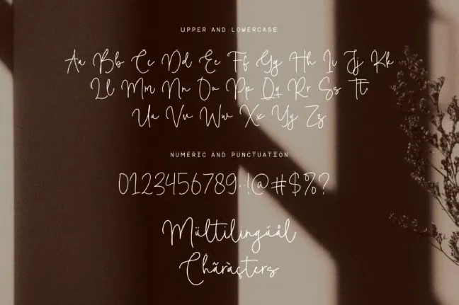 Camelia Boutiue font