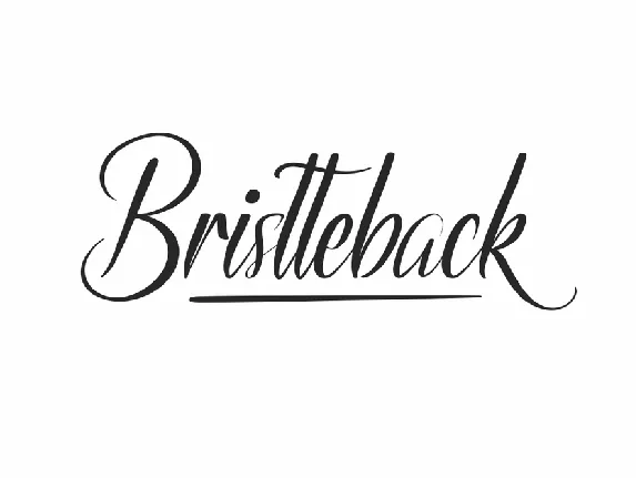 Bristteback Demo font