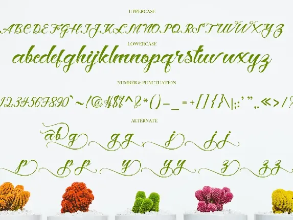 Hey Jintan font