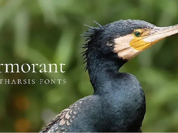 Cormorant font