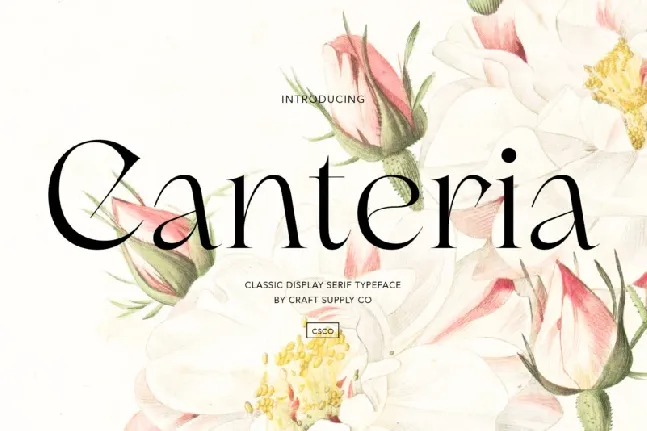 Canteria Serif font