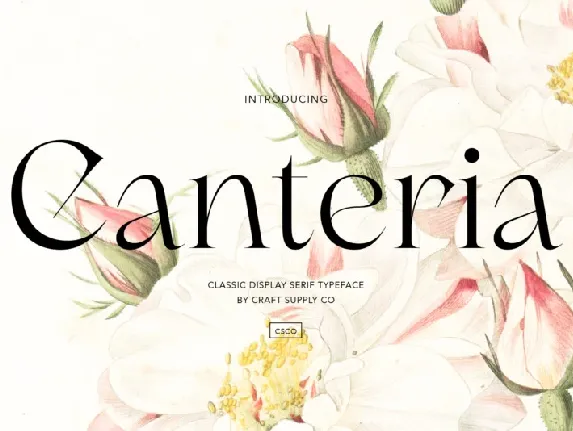 Canteria Serif font