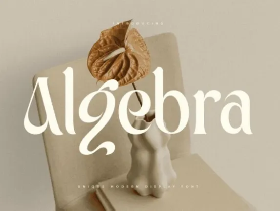 Algebra font