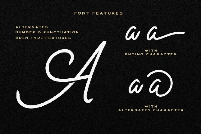 Andromeda font