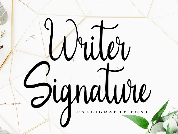 Writer Signature font