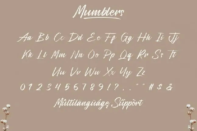 Mumblers Script font