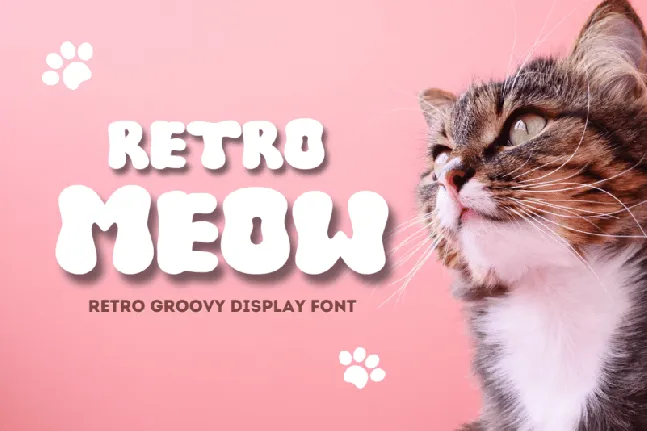 Retro Meow font