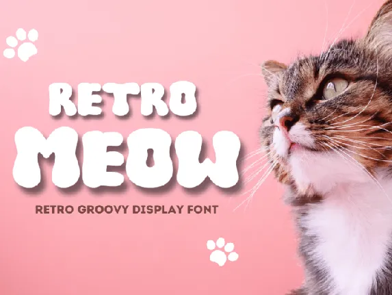 Retro Meow font