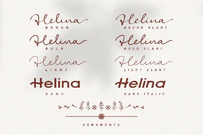 Helina Script Family font