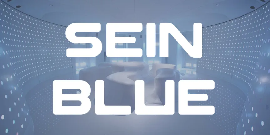 SEIN BLUE font