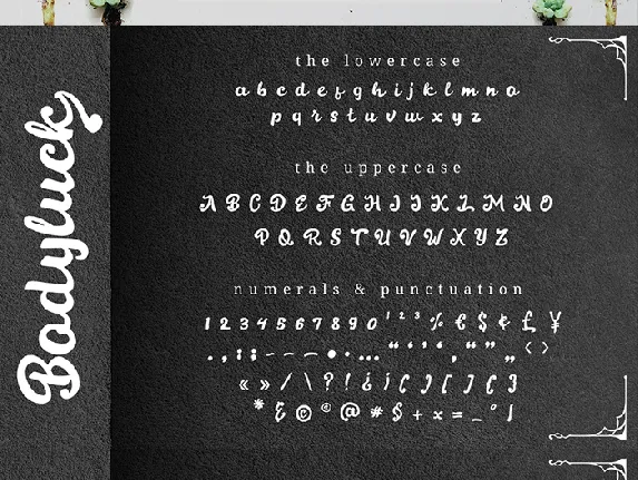 Bodyluck font