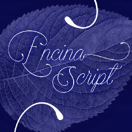 Encina Script 2 PERSONAL USE font