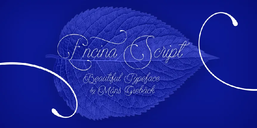 Encina Script 2 PERSONAL USE font