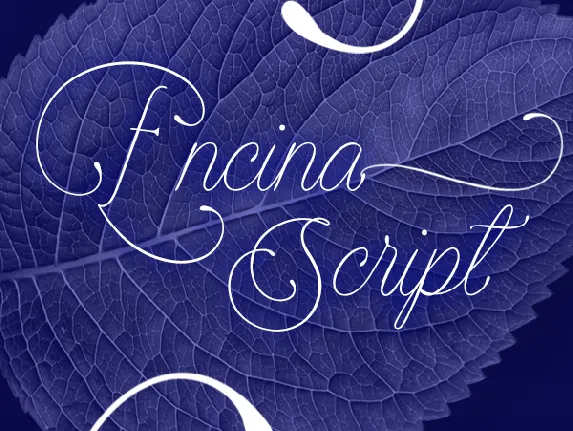 Encina Script 2 PERSONAL USE font