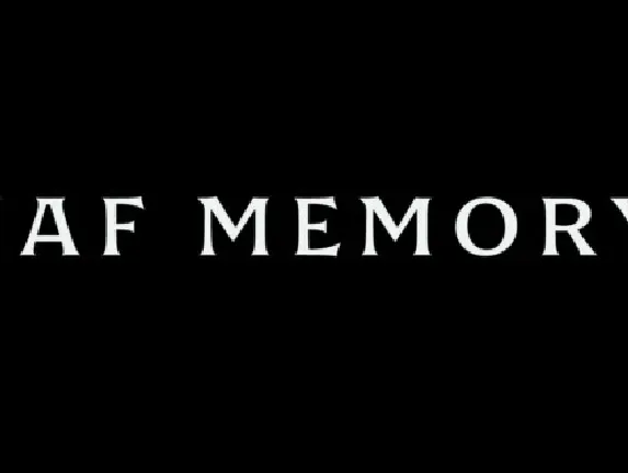 UAF Memory Family font