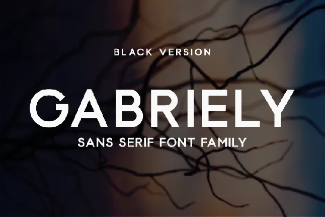 Gabriely font