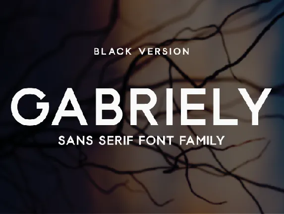 Gabriely font