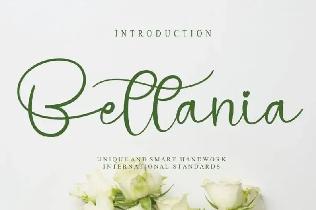 Bettania Calligraphy font