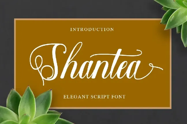 Shantea Script font