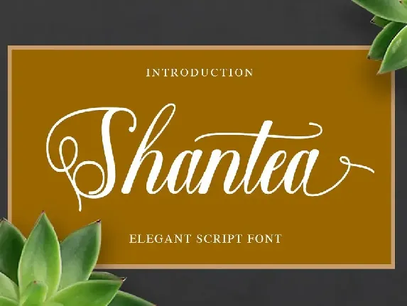 Shantea Script font