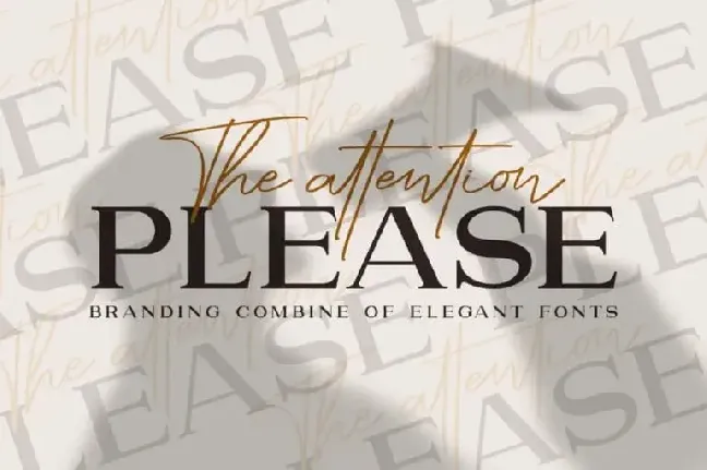 Please Serif font