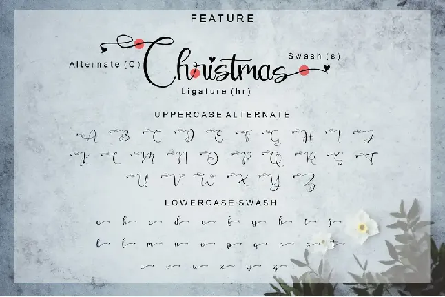 Christmas Winter font