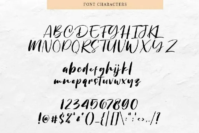 Chellyne Modern Script font