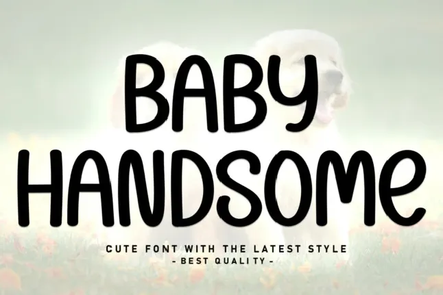 Baby Handsome font