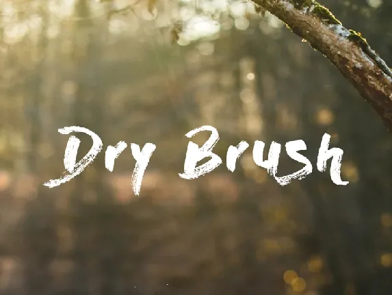 Dry Brush Free font