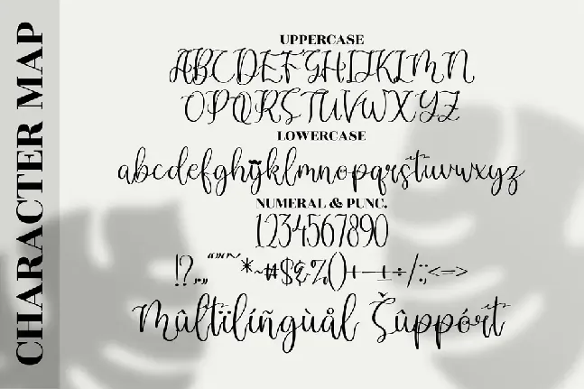 Dandelion Pelangi font