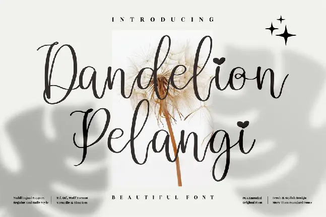 Dandelion Pelangi font