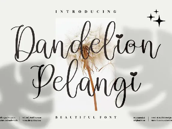 Dandelion Pelangi font