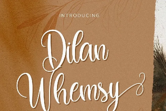 Dilan Whemsy Calligraphy Script font