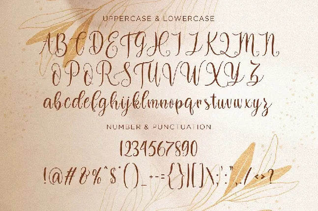 Dilan Whemsy Calligraphy Script font