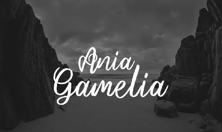 Ania Gamelia Handlettering Script font