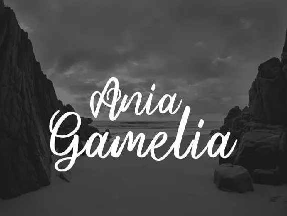 Ania Gamelia Handlettering Script font