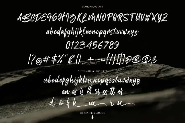 Birdrockers font