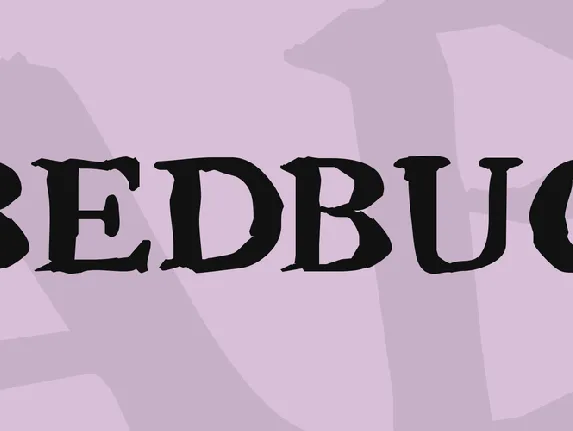 Bedbug font