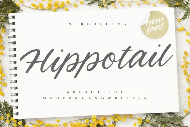 Hippotail font