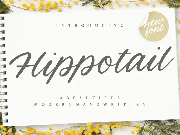 Hippotail font