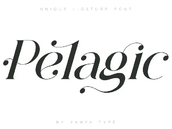 Pelagic Bird font